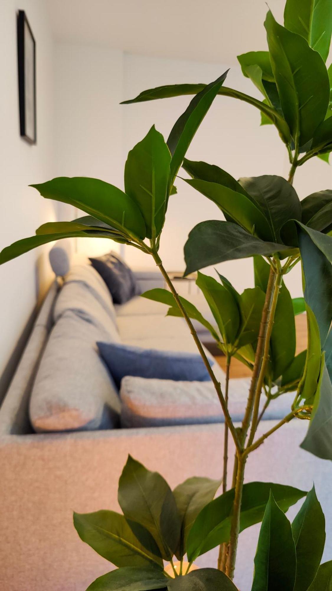 Hygge Home - Mit Garten Und Stellplatz Fuer Feriengaeste-, Monteure / Netflix / 10 Min. Zur Sinsheim Therme Und Zur Autobahn Kültér fotó